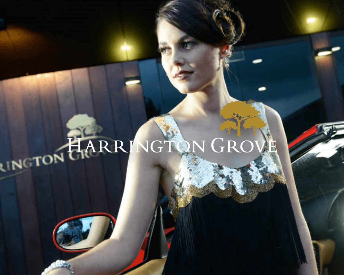 Harrington Grove estate branding by Icon Visual Marketing
