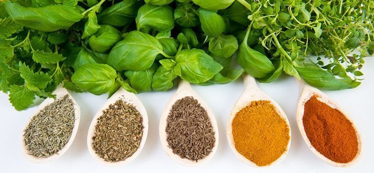 5 Ingredients of Successful B2B Marketing – Your Secret Marketing Recipe Card