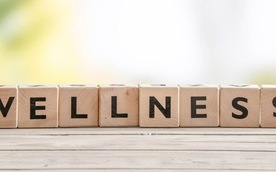 Employee wellness starts with feeling secure