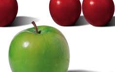 Differentiate yourself from the competition during tenders