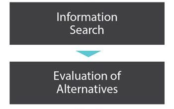 Using the web to track consumer buyer behaviour