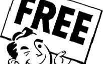 FREE Websites – You get what you pay for
