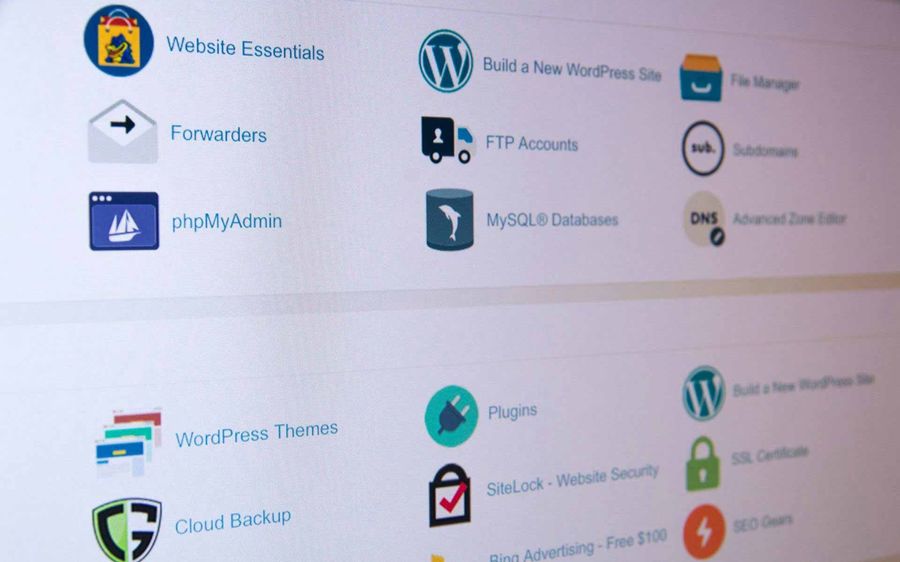 Social Media and SEO: A Symbiotic Relationship