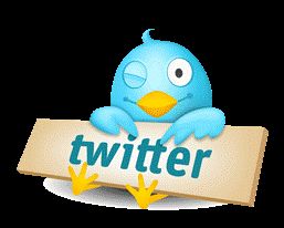 How to Use Twitter to grow your Marketing